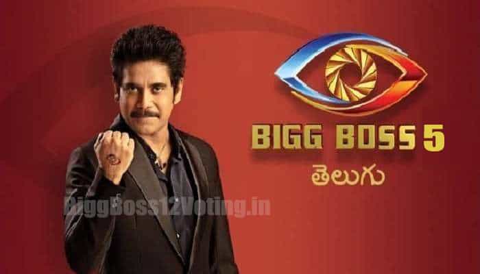 700px x 400px - Bigg Boss Telugu 6 Contestants List with Photos Star Maa BB6 Telugu Show